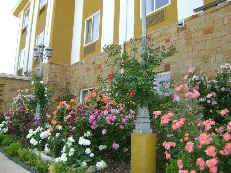 Blanco River Hotel Extérieur photo